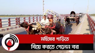 মহিষের গাড়িতে বিয়ে করতে গেলেন বর || Jago News