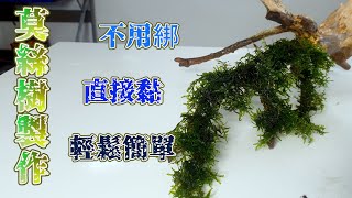 #水草新手篇9~不用釣魚線 直接黏住莫絲 簡單自製莫絲樹 自己DIY~DIY Moss Tree