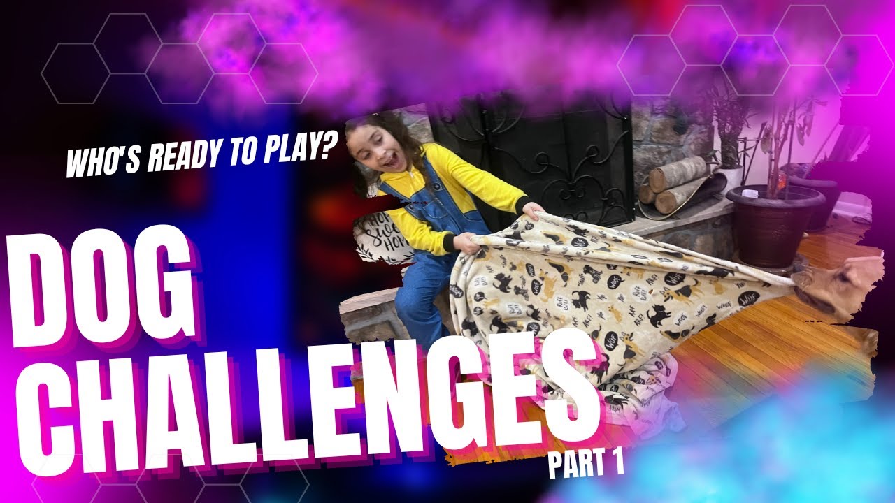 Dog Challenges Part 1 Youtube