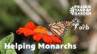 Helping Monarchs | Ask the Arboretum Experts