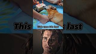Dog Sad Moment Last BIRTHDAY 💔 #shorts
