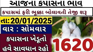 Kapas na bhav | 20-01-2025 | કપાસના ભાવ:2023 | Information about cotton crop price | commodity trend