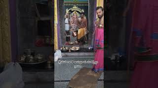 Sri mahakali ammavaru ముక్కోల్లు గ్రామం #myvillage #mukkollu#sammeta_vlogs