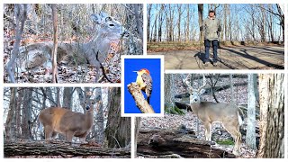 Hiking on a beautiful Friday morning at Iroquois Park, February 7, 2025.