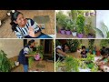 New update in my 🏠home garden/New color/repotting indoor plants🌱/Bharathi's paradise