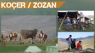 KOÇER / ZOZAN / ÎDIR