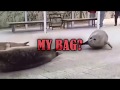 DID YOU SEAL MY BAG?