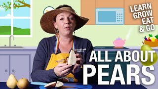 "Learn, Grow, Eat & Go" – Season 3 – Pears