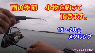 【ライトゲーム】雨の日20ｇ前後のジグで小物を釣って食べてアレする。ジギングフルモン165