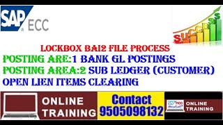 SAP FICO|| Lockbox Process|| Lockbox File BAI2 Process|| Lockbox