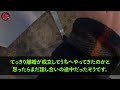 【スカッとする話】義実家から義母を勝手に連れてきた旦那「今日母さんの荷物が届くから！」私「送り返したけど？」夫「離婚だ！お前が出て行け！」と言われたので私は実家へ→自己中旦那の末路がウケるｗ