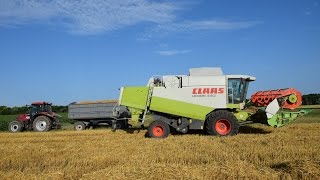 Árpa Aratás 2016 | Barley Harvest 2016 | LEXION 440 | HD 60p |