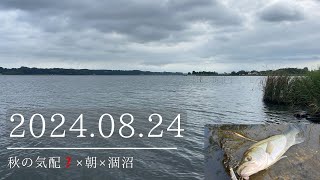 2024.08.24秋の気配❓×朝×涸沼