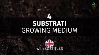 Potting mix for growing seedling - EP4