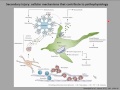 Chronic Neurodeneration and Associated Neuroinflammation Following Brain and Spinal Cord Injury