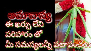 Nara Disti povalante /drishti dosham/కలబంద మొక్కను ఎప్పుడు ఏ విధంగా తెచ్చి పూజించి ఎక్కడ కట్టాలి?