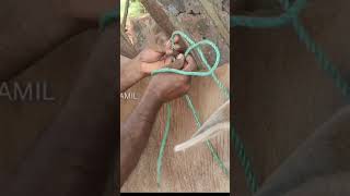 மாட்டிற்கு கழுத்து கயிறு கட்டுவது எப்படி |cow rope making #shortstamil #gladiatortamil #cowrope