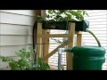 Old lettuce is out and an update on the Rain Gutter Grow System