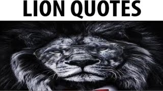 Lion Quotes 4