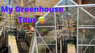 Amar Shokher Bagan 2021/ আমার গ্রিনহাউস Tour || How I organize my Greenhouse in UK