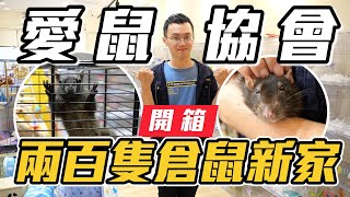 【維鼠日記】開箱兩百隻倉鼠的新家，教你如何去愛鼠協會！【維特】#120