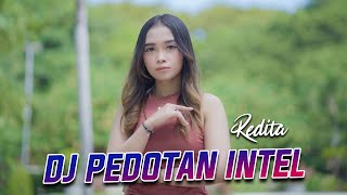 Pedotan Intel - Laila Ayu | House [Official Music DJ 2024]