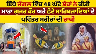 48 ਘੰਟੇ ਸ਼ੇਰਾਂ ਨੇ ਕੀਤੀ ਮਾਤਾ ਗੁਜਰ ਕੌਰ ਸਾਹਿਬਜ਼ਾਦੇ ਦੀ ਰਾਖੀ | Chaar Sahibzaade Mata Gujri | Saka Sarhand