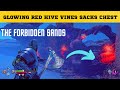 God of War Ragnarok - Glowing Red Hive Vines Sacks Chest ( The Forbidden Sands )