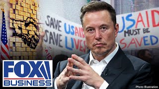 Musk 'did the right thing' in closing USAID, GOP congressman says