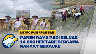 Masyarakat Merauke Panen Raya Padi Seluas 14.000 Hektare