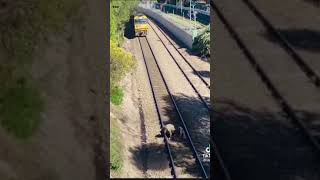 Imagine the relief on the train driver