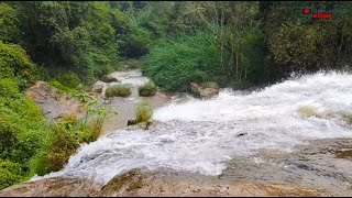 Relaxing Catherine Water Falls in 4K | #ooty #kotagiri #nature |