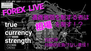 LIVE FOREX \