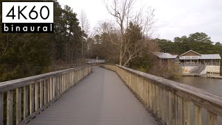 Nature Walk Through American Lake Park | Nature Sounds for Sleep and Study