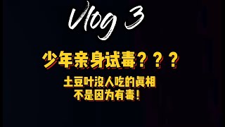 土豆叶子真的是因为有毒才没人吃的吗？ 少年带你亲身试毒！