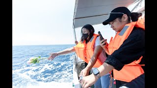 民國113年第2次高雄市聯合海葬 14位先行者今年累計41位安息大海