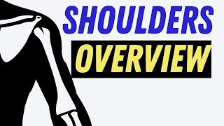 Shoulder Overview for Occupational Therapists | CHT Exam Preparation