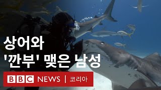 뱀상어 '엠마'와 다이버 짐의 특별한 동거 - BBC News 코리아