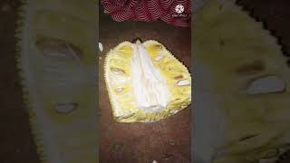 சக்க பழம், பலாப்பழம், jackfruit #shorts