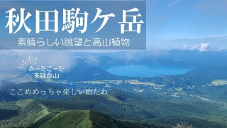 【秋田駒ケ岳・男岳、男女岳、横岳、焼森】9月 高山植物と田沢湖・阿弥陀池の絶景 バスで登れて楽々歩ける　夫婦登山