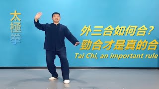 太極外三合如何合？勁合才是真的合|黃剛老師教學Tai Chi, an important rule