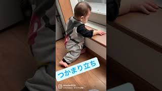 つかまり立ちできたよ！　#shorts