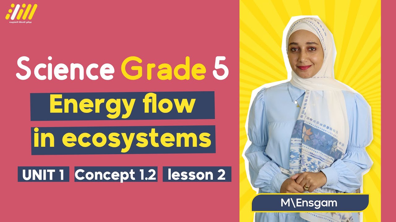 Science Grade 5 First Term Unit 1 Concept 1.2 Lesson 2 | Energy Flow In ...