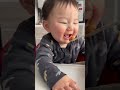 【子育てあるある】離乳食たべるの？たべないの？ 赤ちゃんのいる生活 baby