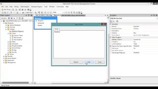 Microsoft SQL Server 2008 R2 Database Diagrams