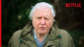 Sir David Attenborough On The Devastating Truth About Coral Reefs