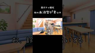 妹の血液型が『ありえない』事になってた件　#猫ミーム #猫ミーム日常 #親ガチャ　#shorts