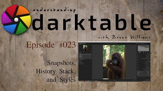 darktable ep 023 - Snapshots, the History Stack, and Styles