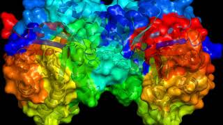 Primer (molecular biology) | Wikipedia audio article