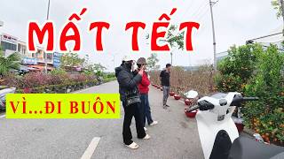 Mất Tết vì...buôn đào, quất !